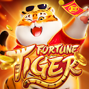 jogos demo fortune tiger ícone